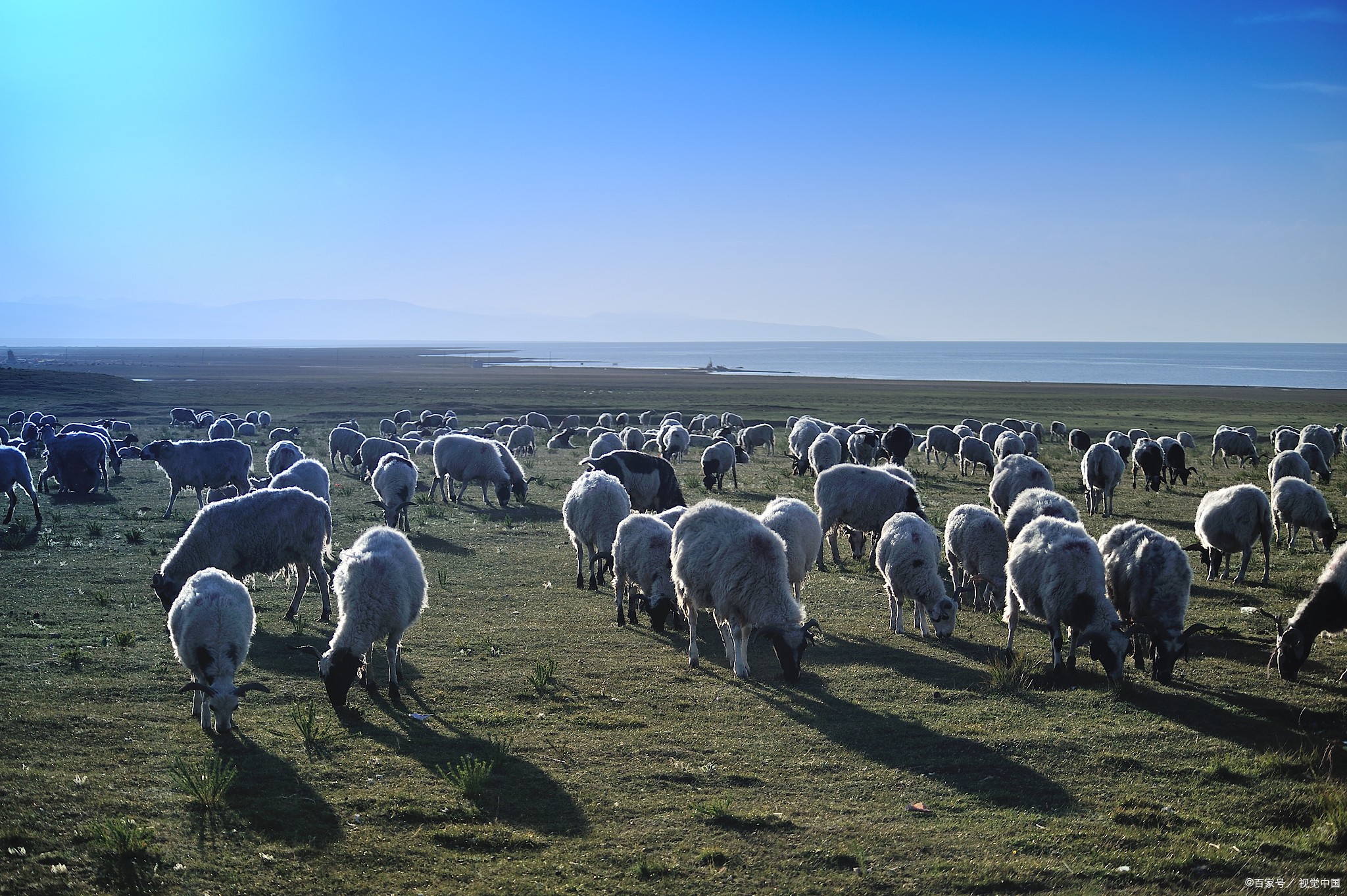 青海旅游投诉电话青海省旅游局投诉电话(青海省旅游局电话 投诉电话)