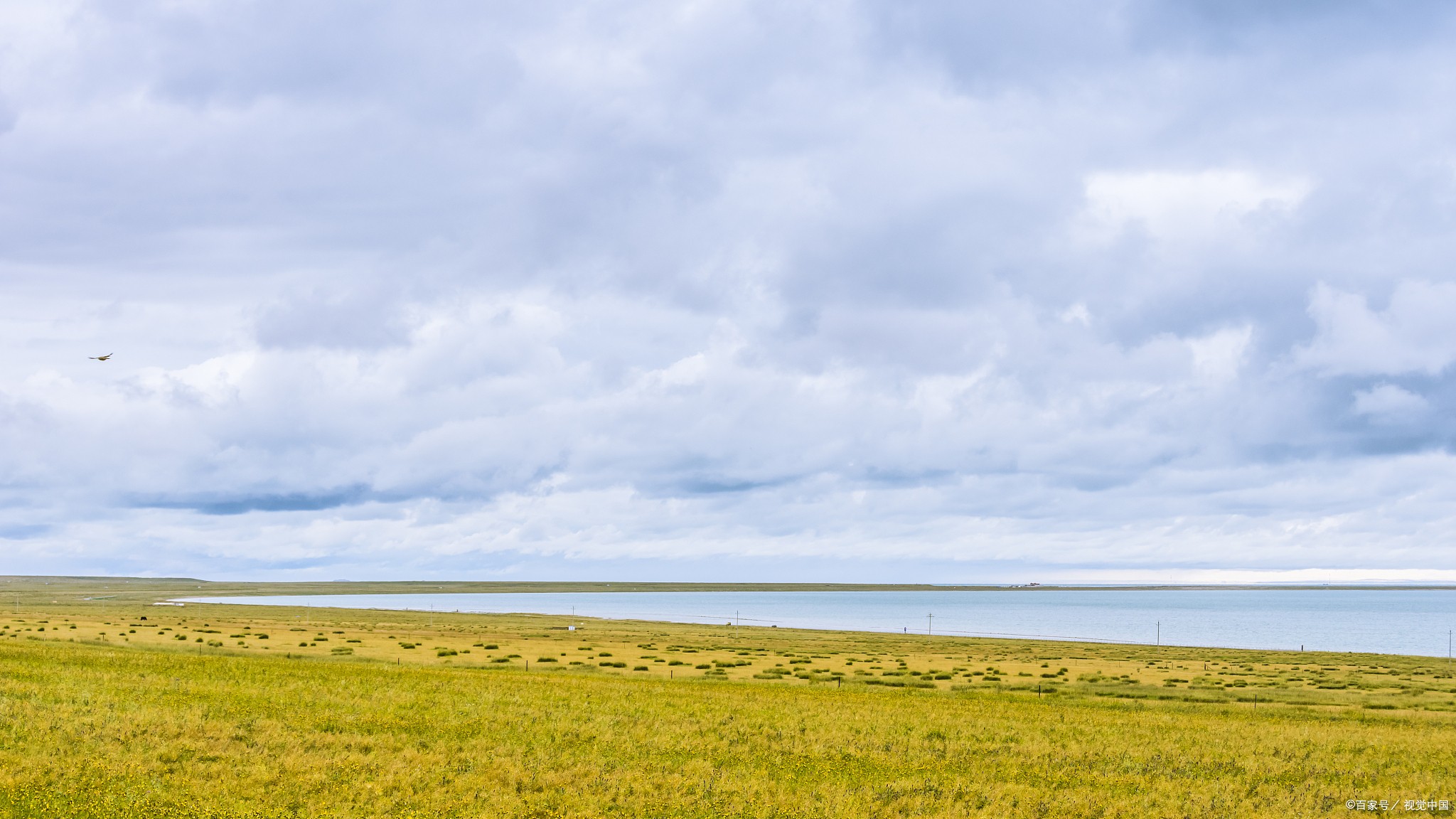 香港最好的十大旅行社有哪些(香港旅游攻略相关推荐可靠的出国旅游公司)