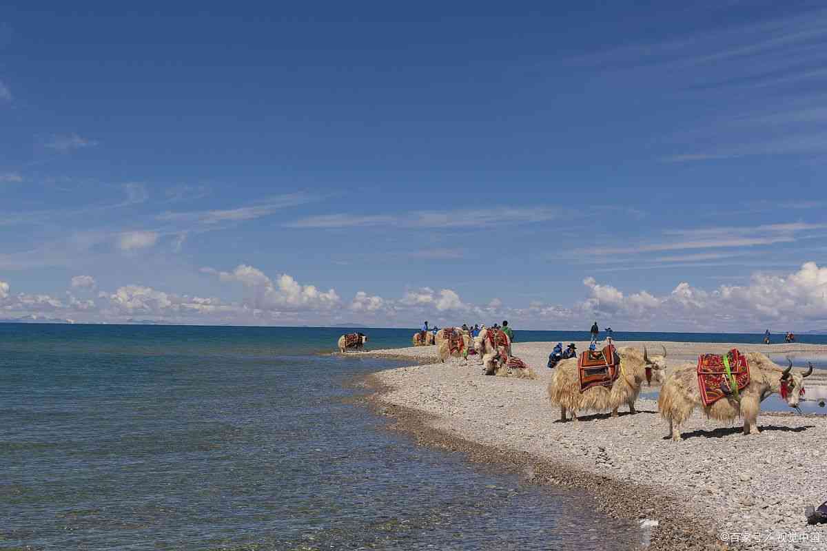 去青海旅游的句子说说心情短句(去青海旅游的句子说说心情短句简短)