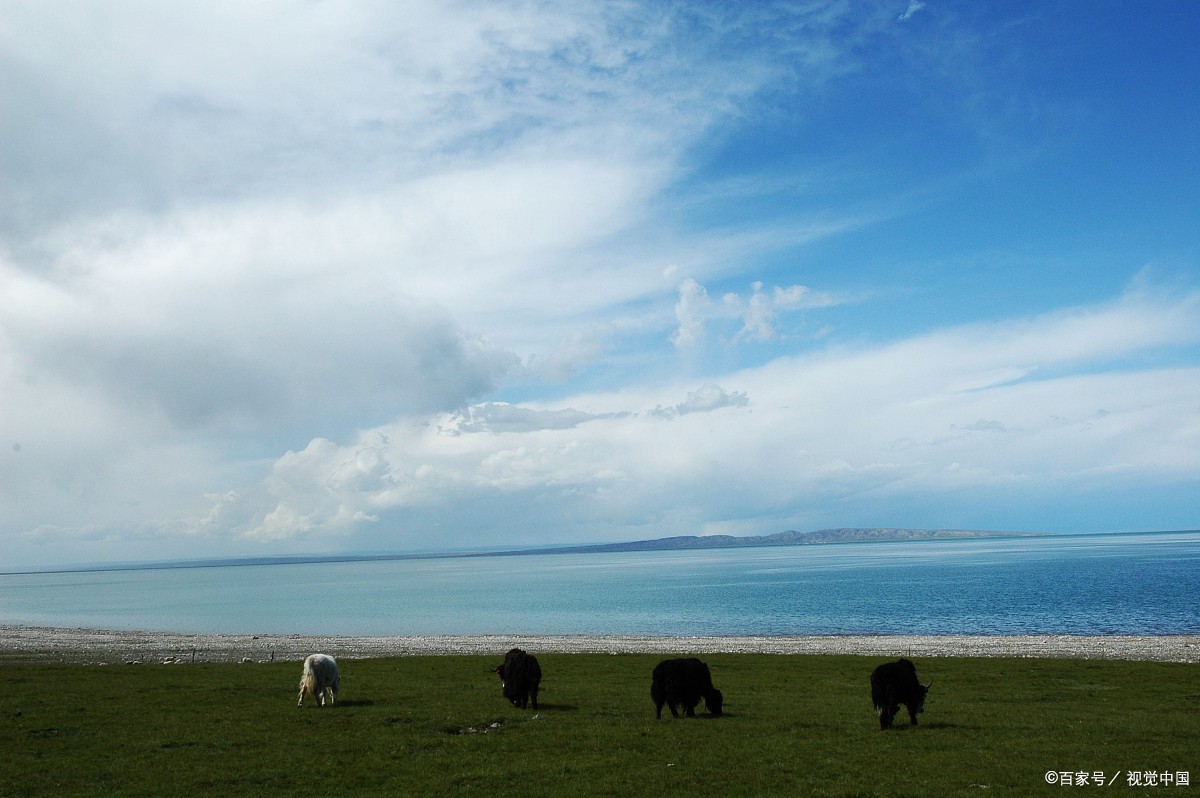 青甘小环线大概多少公里(青甘小环线与青甘大环线的区别)