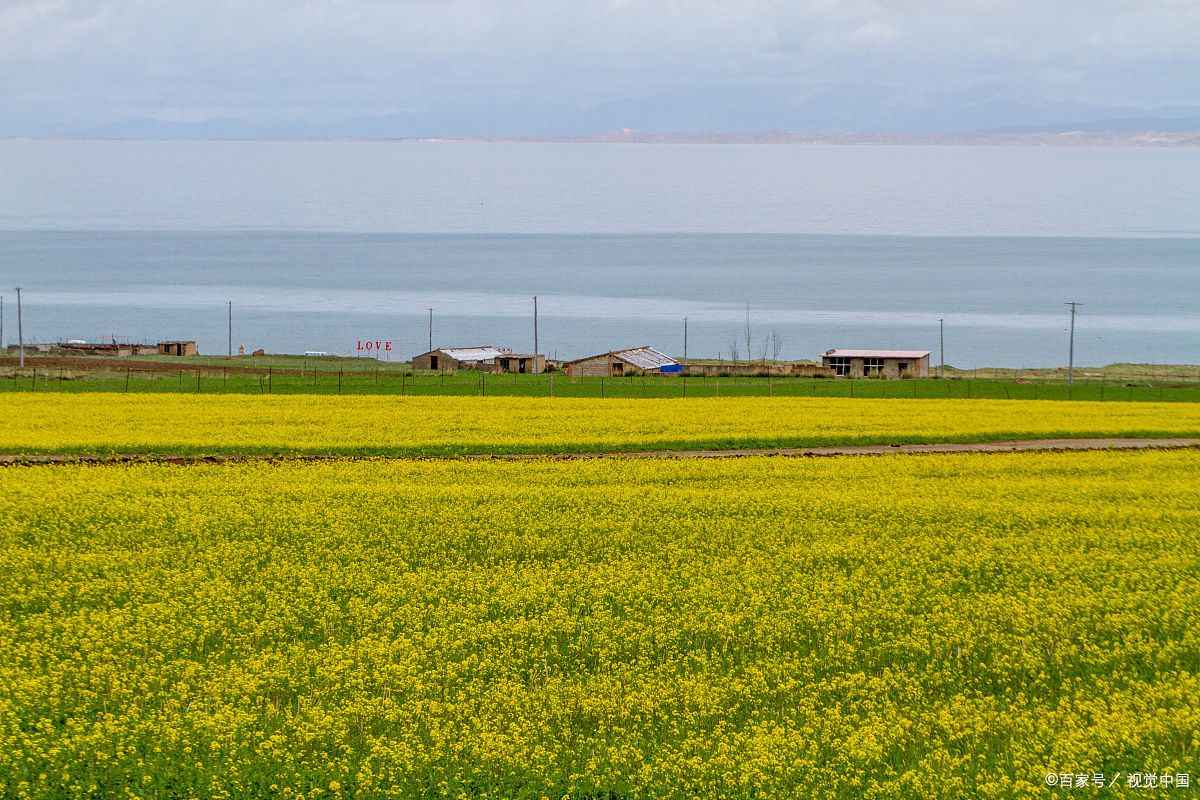 青甘大环线自驾游多久一趟(青甘大环线自驾游多久一趟车)